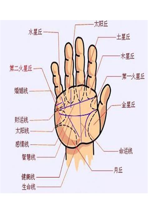 手相大全